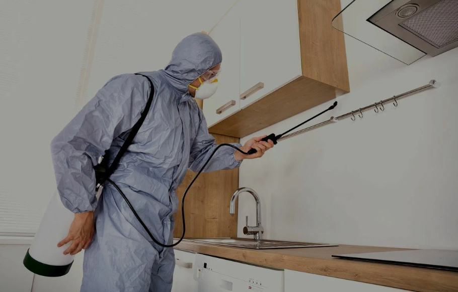 San Luis Obispo pest managment